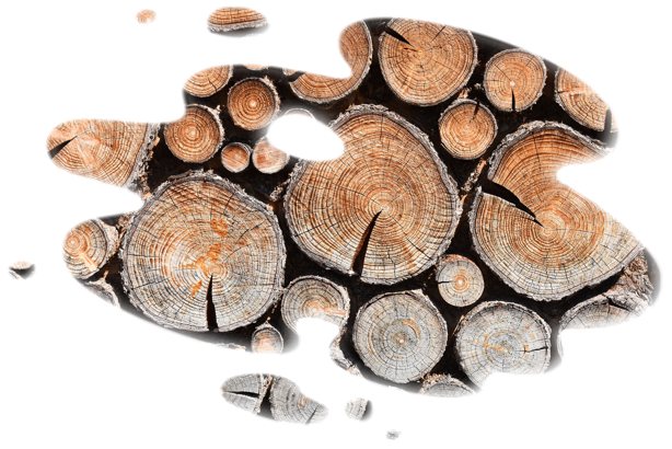 Stères de bois rangées