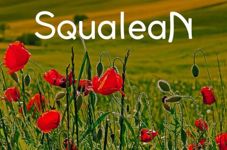 Logo Squalean et coquelicots